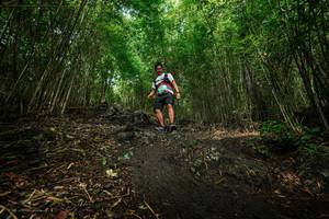 BIB: 
                            <button type="button" onclick="openModal(25099242)" class="btn btn-primary btn-sm float-right btn-popup" data-toggle="modal" data-target=".modal-high-quality">
                        <i class="fas fa-shopping-cart"></i> Add to Cart
                    </button>
                                            <button type="button" onclick="isThisMe(25099242, true)" class="btn btn-success btn-sm float-right btn-popup btn-isme hidden" data-toggle="tooltip" data-placement="bottom" title="นี่คือรูปของคุณใช่ไหม คลิกที่นี่เพื่อเอาเข้าอัลบั้ม">
                        <i class="fas fa-plus"></i> Add to album
                    </button>
                    <button type="button" onclick="isThisMe(25099242, false)" class="btn btn-warning btn-sm float-right btn-popup btn-isnotme hidden">
                        <i class="fas fa-ban"></i> Remove from album
                    </button>